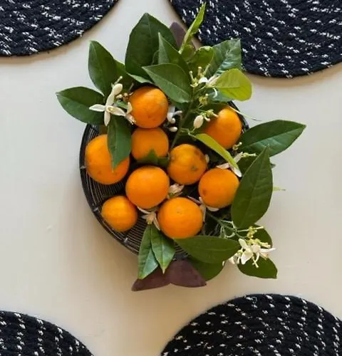 Spacious By The Sea * Λουτρά Αιδηψού